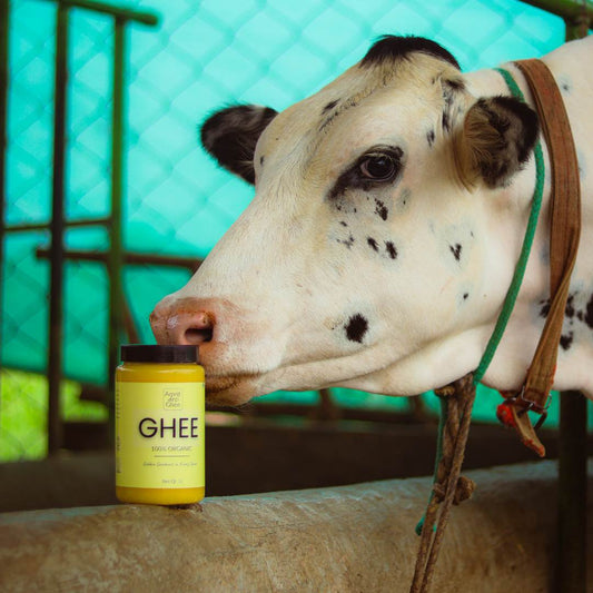 Desi Cow Ghee | 1 ltr
